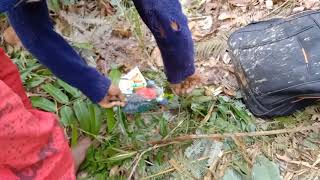 mikat burung puling/Nuri tanau di spot  yang luar biasa