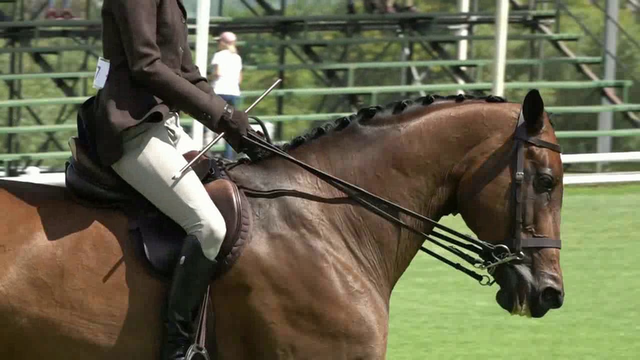 05 Hoy Open Show Hunter