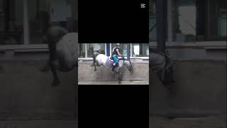 De Les Met Pippi Gaat Weer Goed