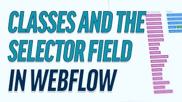 Understanding The Class Selector In Webflow | A Guide On HTML Tags, Classes, and Inheritance