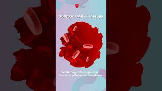GoBroad Medical Excellence: Multi-Path CAR-T Strategies for Refractory #lymphoma #cartcelltherapy