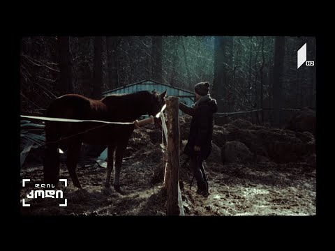 #დღისკოდი თბილისის რიგით მე-14 სტუდენტური ფილმების ფესტივალი კინოთეატრ „ამირანში“ გაიხსნა