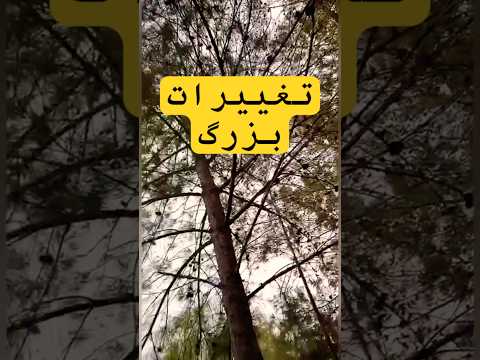 چه زمانی تغییرات بزرگ اتفاق میوفته