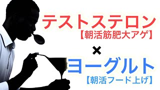 テストステロン・精力を増やすために摂るべき朝活フード【ヨーグルトの科学①】