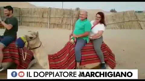 Che lingua si parla nelle Marche?