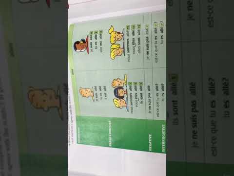 IMG 26491
