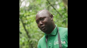 The need for nature - Age of Change