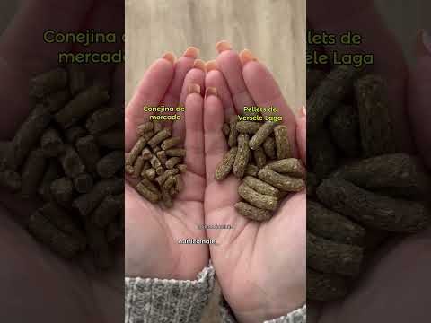 Los pellets 🐰 #bunnies #conejo #pets #bunny #conejito #conejos #pellets #tips #alimentacionconejil