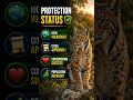 Iberian Lynx: Ye Billi Lagbhag Gayab Ho Gayi Thi! 😳🐱 | UPSC Wildlife Series#upsc