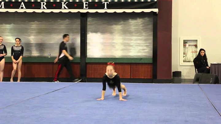 Bailey Nicoletti FX Gliders14 Wildfire Gymnast Lev...
