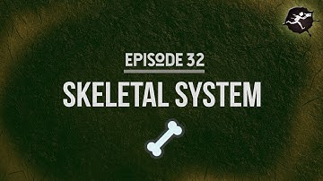 What Happens to Your Bones in Space? UntamedScience #32