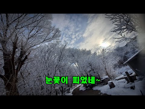 [<strong>귀촌리소식</strong>] 춘삼월에 눈꽃이 피었네~