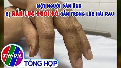 Một người đàn ông bị rắn lục đuôi đỏ cắn trong lúc hái rau