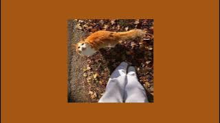 [Autumn aesthetic playlist - 2025] 🍁🍂✨️