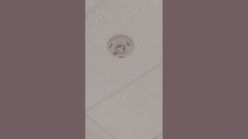 System Sensor Spectralert Advance PC2W Horn Strobe