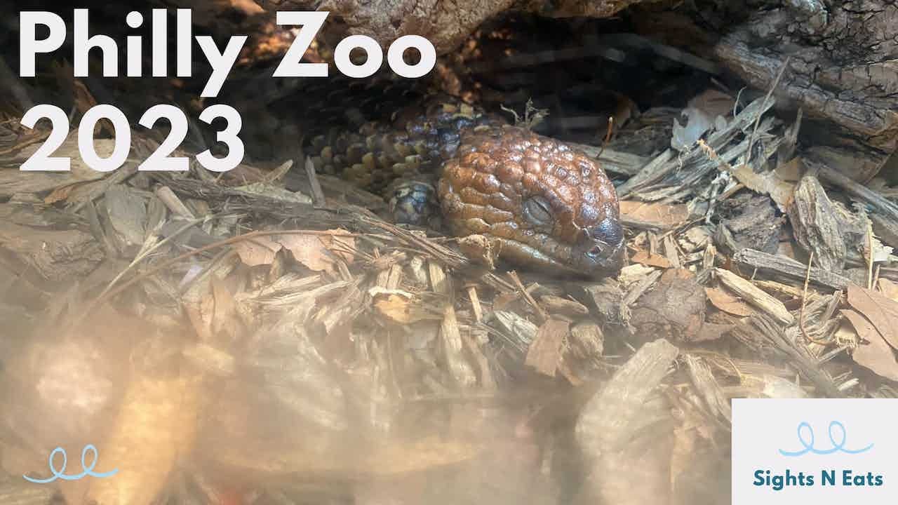 Philadelphia Zoo visit and tour 2023