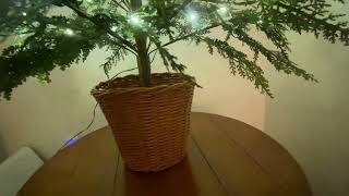 My Texas House Cypress Christmas Tree Review — Festive Indoor Holiday Decor