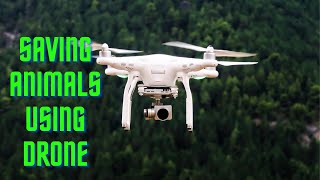 This Man Saves Animals using Drone