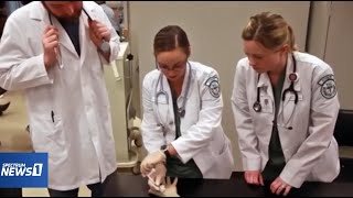 QCC Students In the Field to fight COVID-19 - Spectrum News Clip
