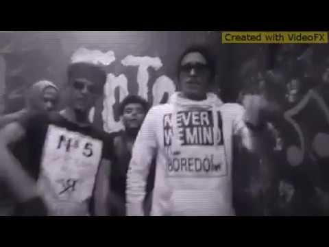 مهرجان الشايب والولاد