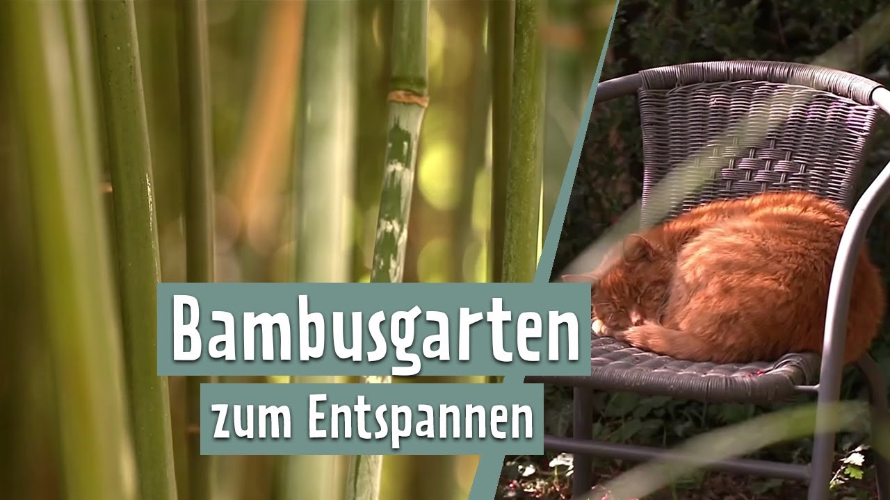 bambus recycling Full Circle Home Spülbürste Be Good, Reinigungsbürste, Bambus, Recycli –  Ambiente3000