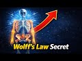 Wolff’s Law: Kya Adult Bones Phir Se Grow Ho Sakti Hain? Wolff’s Law: Can Adult Bones Grow Again?