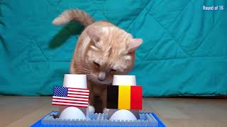 United States Vs Belgium - Cats World Cup 2026 Prediction