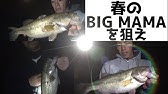 バス釣り 夜のブラックバスはサイズがデカイ説 Youtube