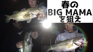 バス釣り　春のＢＩＧＭＡＭＡを求めて！