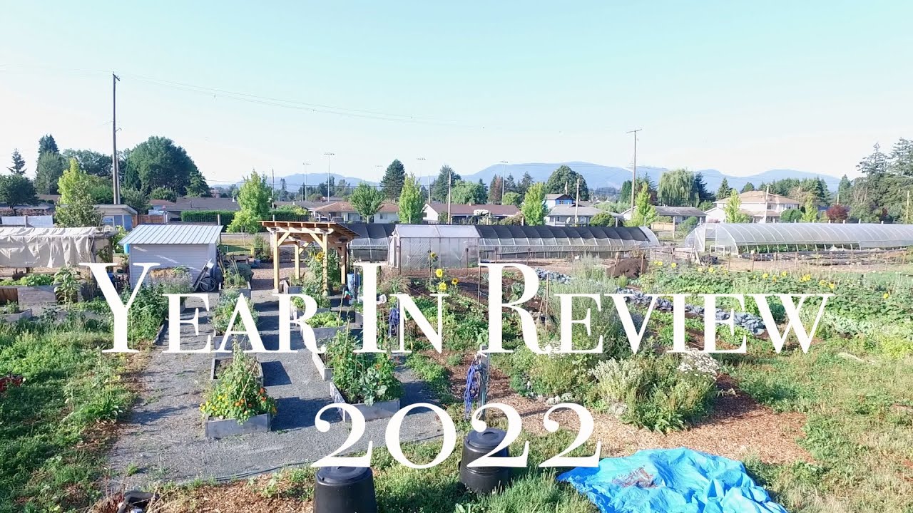 Our 2022 Year In Review video - YouTube