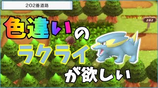 ポケモンダイパリメイク 色違いラクライをお迎えに行く ポケモンbdsp Youtube