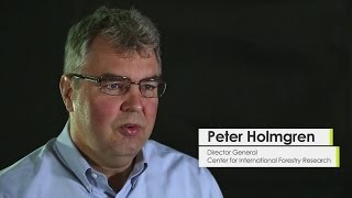 The Sustainable Development Goals and the role of forests