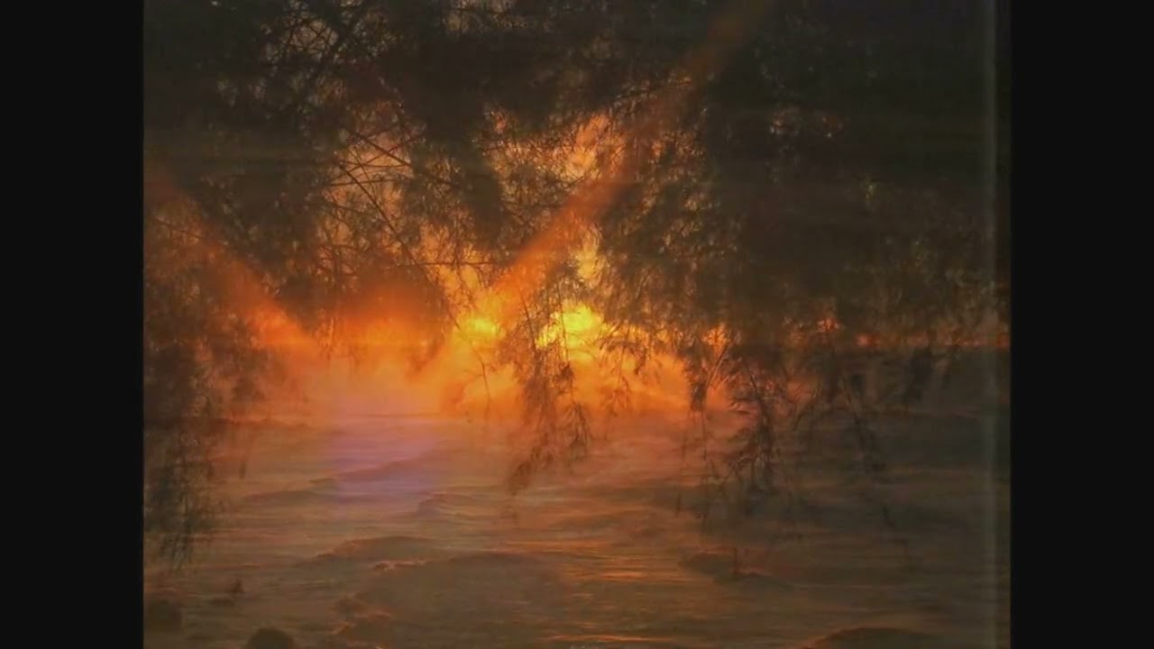 City Of Dawn - Trees Grow Quietly