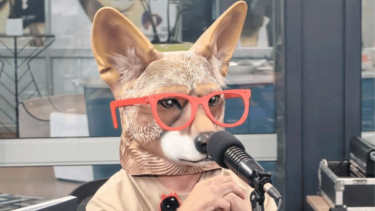 Jakkals Vibes - 'Heeltemal Stom'