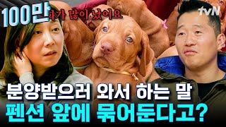 분양하라는 전문가의 말을 듣지 않고 12마리 모두 함께 한 이유😢 쉽지만은 않았던 12마리 다견 가족 일상 | 고독한훈련사