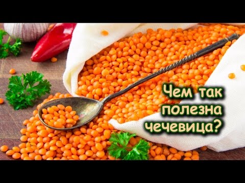 ЧЕМ ТАК ПОЛЕЗНА ЧЕЧЕВИЦА?