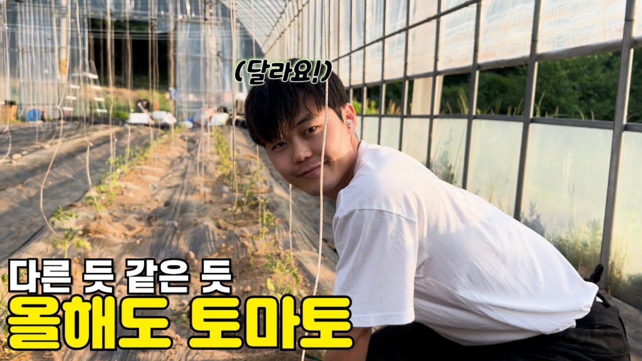 [밭리스타3_1편] 새로운 관리 터득