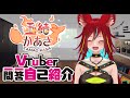 【新人Vtuber/バ美肉】玉緒かあさの一問一答自己紹介【字幕有/translation】