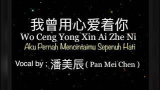 我曾用心爱着你 (Wo Ceng Yong Xin Ai Zhe Ni) I Vocal by ; 潘美辰 ( pan mei chen ) l terjemahan chinese - Indo