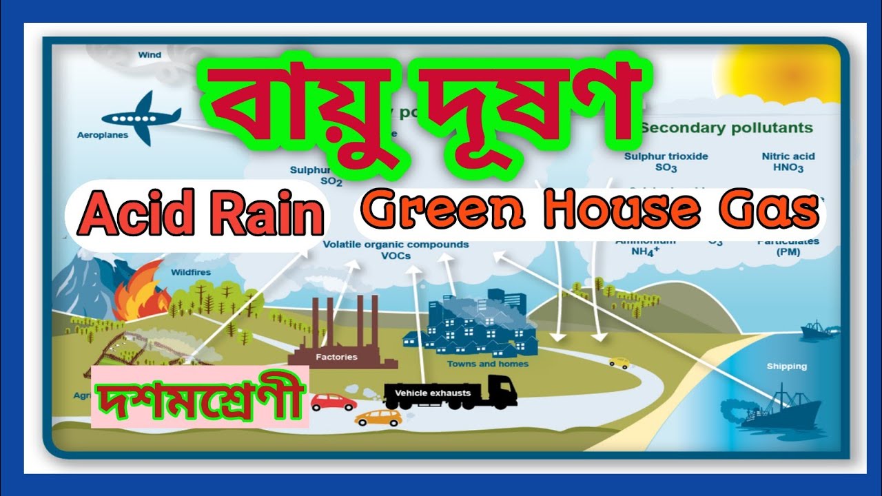 environmental pollution project in bengali