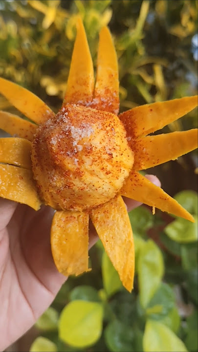 mango sunflower π»