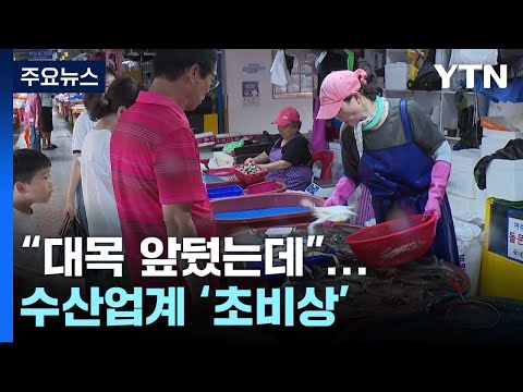 &quot;대목 앞두고 있는데&quot;...일본 오염수 방류에 수산업계 &#39;비상&#39; / YTN