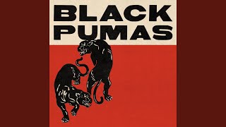 Colors - Black Pumas