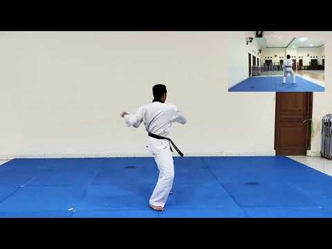 14 BASIC MOVEMENTS (14 GERAKAN DASAR) TAEKWONDO
