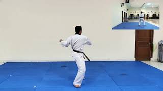 14 BASIC MOVEMENTS (14 GERAKAN DASAR) TAEKWONDO