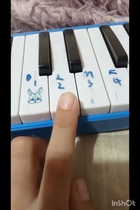 7 weeks 3 days - Pianika #music #fyp