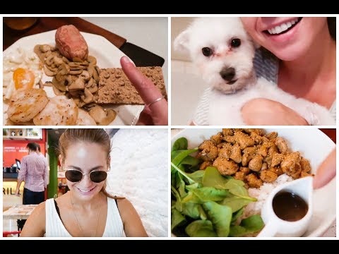 EMPIEZO MI NUEVA DIETA+ COMIDA CON VIKGUIRAO Y MAS!! | Terán Vlogs