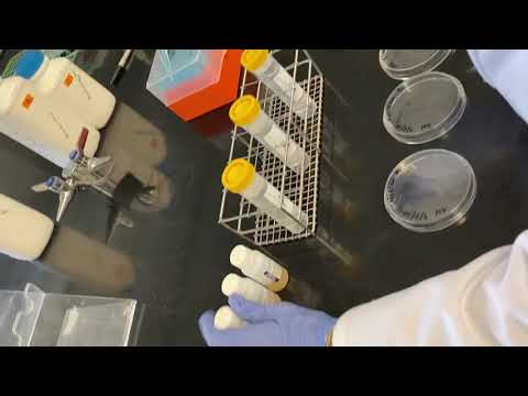 Lab 5: coliscan - YouTube