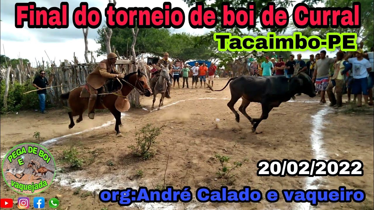 Final do torneio de André Calado e vaqueiro em Tacaimbo-PE 20/02/2022