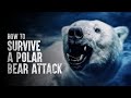 How to Survive a Polar Bear Attack